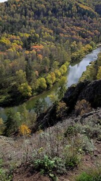 Mountain forest yellow green landscape. Trees and river in autumn. Vertical footage. Zveroboy mountain in Novosibirsk region, Russia.