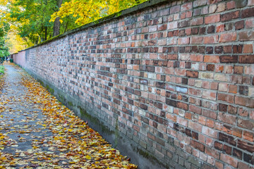 Ancient weathered brick cemetery wall covered with golden autumn leaves along pathway at Powązki Cemetery Warsaw Poland. High quality photograph