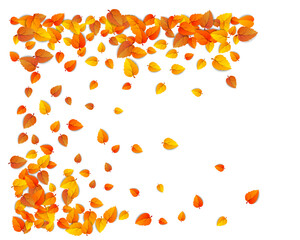 Falling Autumn Leaves Scatter Corner Border Design