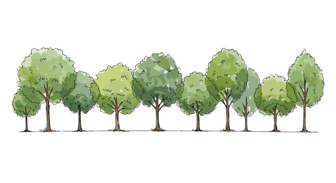 Row of green deciduous trees for architectural rendering and landscape entourage, realistic hand-drawn illustration on transparent background