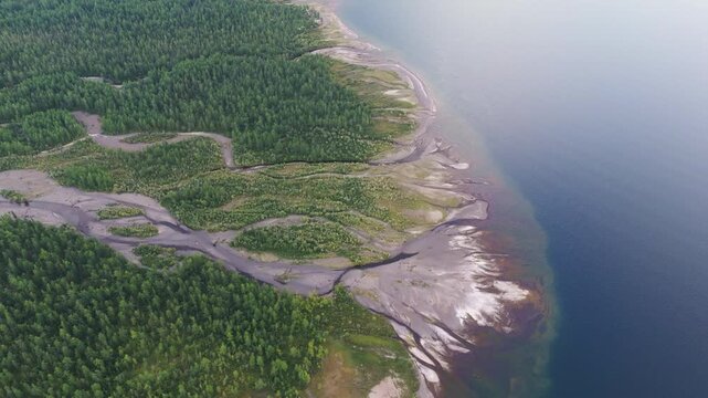 Aerial view shows braided river carving a delta into clear lake water. Sandbar, channel and larch forest shape a vivid coastline. Putorana Plateau, Lake Lama, Siberia, destination for eco travel