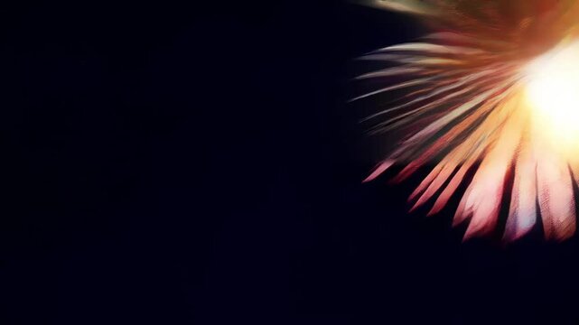 Dive into a mesmerizing world of light with this captivating video featuring vibrant bursts of colors against a dark background. The dynamic motion and ethereal patterns create an enchanting visual ex