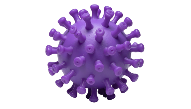 A close-up, three-dimensional rendering of a purple, spherical virus, with spike proteins