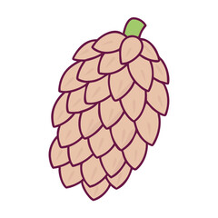 Illustration of a hop cone for beer brewing ingredient and autumn decoration, vector graphic art