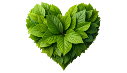 Heart shape formed from vibrant green leaves, isolated on a dark background