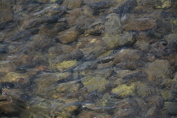 Large sea stones in the water. Background