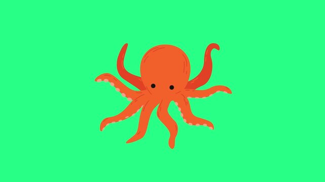 Bright orange octopus with eight curling tentacles on a vivid green background playful illustration, video loops,  green screen, 4k, footage, 4k footage, videos, video clip, slow motion, video wallpap