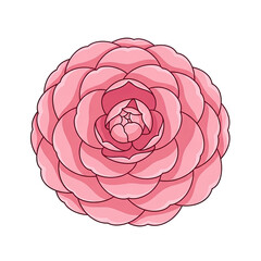 Exquisite pixel art illustration of a blooming pink camellia flower with delicate petals radiating outwards in a soft gradient pink background