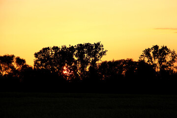 Fiery sunset glowing behind forest line