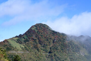 西黒森　山粧う　（高知県　町道瓶ヶ森線）
