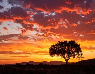 Fototapeta premium Fiery Sunset Over Tree Silhouette With Dramatic Orange And Red Clouds in Nature