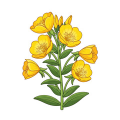Vibrant yellow evening primrose flowers with detailed green leaves and buds presented on a warm gradient background evoking a sense of natural beauty