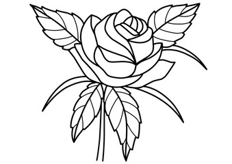 vector illustration of a rose