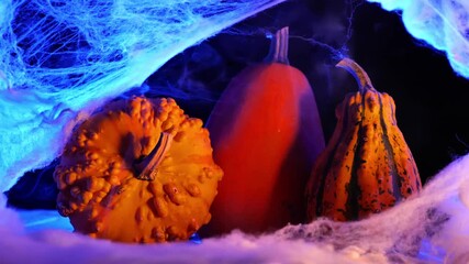 Pumpkin halloween background. Orange pumpkins set in web and smoke in blue spooky light in the dark.Halloween mood.Autumn festive symbol - Powered by Adobe