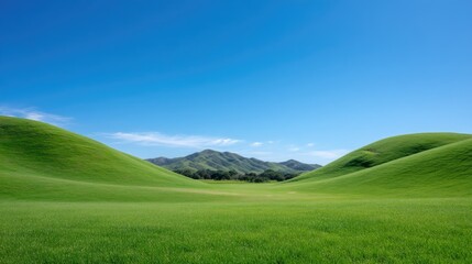 Fototapeta premium Scenic Green Hills Under Clear Blue Sky in Serene Landscape with Rolling Terrain and Distant Mountain Range