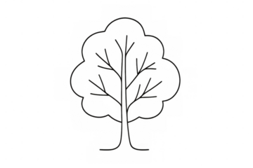 Simple stylized tree line art for nature, ecology, environment, and growth concepts with transparent background