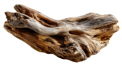 Weathered Driftwood: A close-up shot of a unique piece of weathered driftwood, displaying intricate textures and natural patterns, evoking a sense of time and the elements.