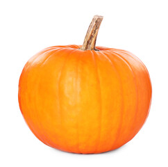One whole ripe pumpkin isolated on white