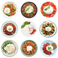 Different dishes with burrata cheese isolated on white, set. Top view