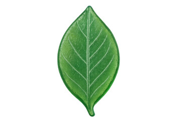 Fototapeta premium Green decorative glass leaf showing texture and natural vein patterns, isolated on a transparent background, symbolizing nature and ecology