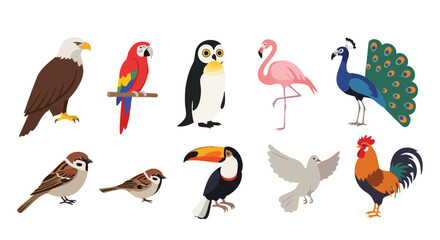Obraz premium Bird Animal Vector Flat Design Flying Aves Illustration Collection