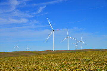 Wind farm producing clean renewable energy in North Dakota.