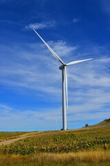 Wind turbines producing clean renewable energy in North Dakota.