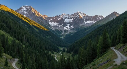 Obraz premium Winding road through pine forest leads to snow capped mountain peaks.