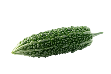 透明背景（png）に1本のゴーヤ