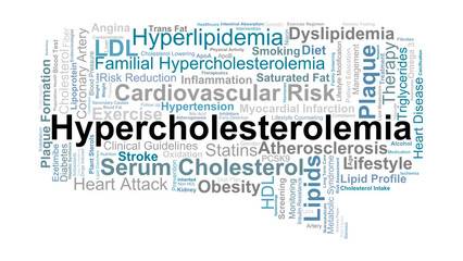 Hypercholesterolemia Word Cloud. Key Concepts On Cholesterol, Lipids, Cardiovascular Risk, Diet, Exercise, Medication, And Management Of High Blood Cholesterol.