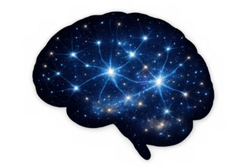 Human brain outline featuring glowing neuron connections in a cosmic starry sky with transparent background