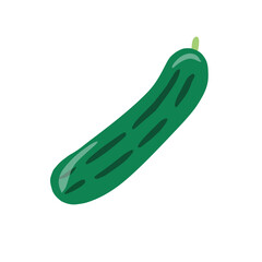Cucumber in flat cute illustration for organic kitchen theme