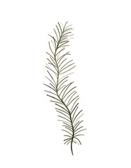 Naklejka premium Illustration of an Elegant Evergreen Pine Branch with intricate design elements