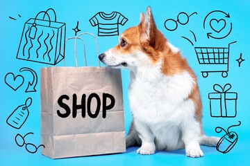 A corgi dog sits beside a brown paper shopping bag labeled SHOP on a blue background with playful black illustrations of gifts, carts, clothes, glasses, and hearts around it © Masarik