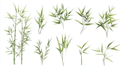 Naklejka premium 100.A set of vector-drawn bamboo stalks, gently swaying, in varying shades of green, creating a peaceful and nature-inspired background ideal for use in eco-friendly or Asian-themed design projects.