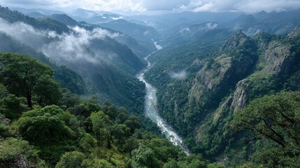 Lush Green Valley with River Flowing through Mountains and Clouds