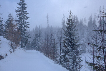 Strbske Pleso winter lake tourist attraction in High Tatras, Slovakia