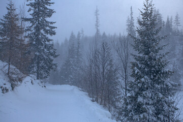Strbske Pleso winter lake tourist attraction in High Tatras, Slovakia