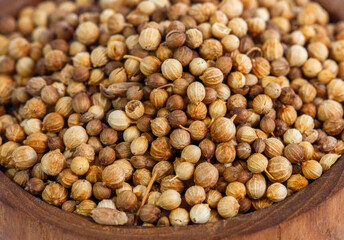 A rustic, flat lay arrangement of dried coriander seeds, isolated on a white background. The aromatic Asian spice is displayed on a round wooden coaster and scattered around.