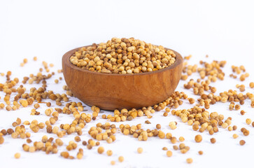 A wooden bowl filled with whole coriander seeds, a key aromatic spice in cooking. The healthy and natural ingredient is isolated on a clean white background.