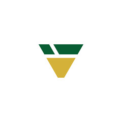 Geometric Inverted Triangle V Logo