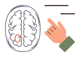 Hand gesturing toward a brain diagram with a marked area, alongside lines suggesting communication or thoughts. Ideal for neuroscience, education, cognition, psychology, learning, brain activity