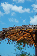 bottom view of a straw umbrella with a wooden frame against a clear sky for advertising space.