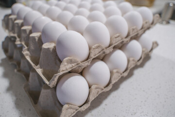 Egg Crates in a kitchen