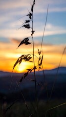 Fototapeta premium Golden Hour Serenity Meadow Grass Silhouette Against Dramatic Sunset Sky