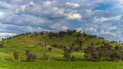 Fototapeta premium Riverina Countryside in Spring – Green Hills Under Clouded Skies