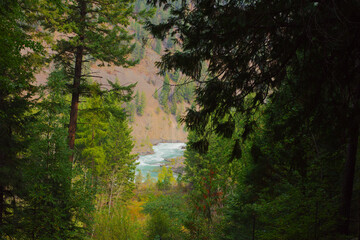 Obraz premium Serene Forest Canyon View Framing a Turquoise River Through Dense Green Trees Kootenai National Forest in Montana. Dense evergreen forest opens to a turquoise river carving a canyon, inviting calm and