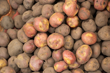 Variedad de papas nativas peruanas orgánicas a la venta en un mercado de los andes