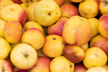 cosecha de manzanas rojas y amarillas orgánicas a la venta en un mercado de los andes