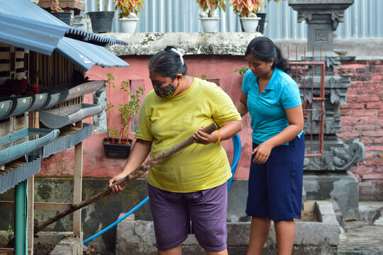 The mother shovels compost from the chicken manure pit under the coop while the teenage neighbor rolls up the hose after finishing water chores.